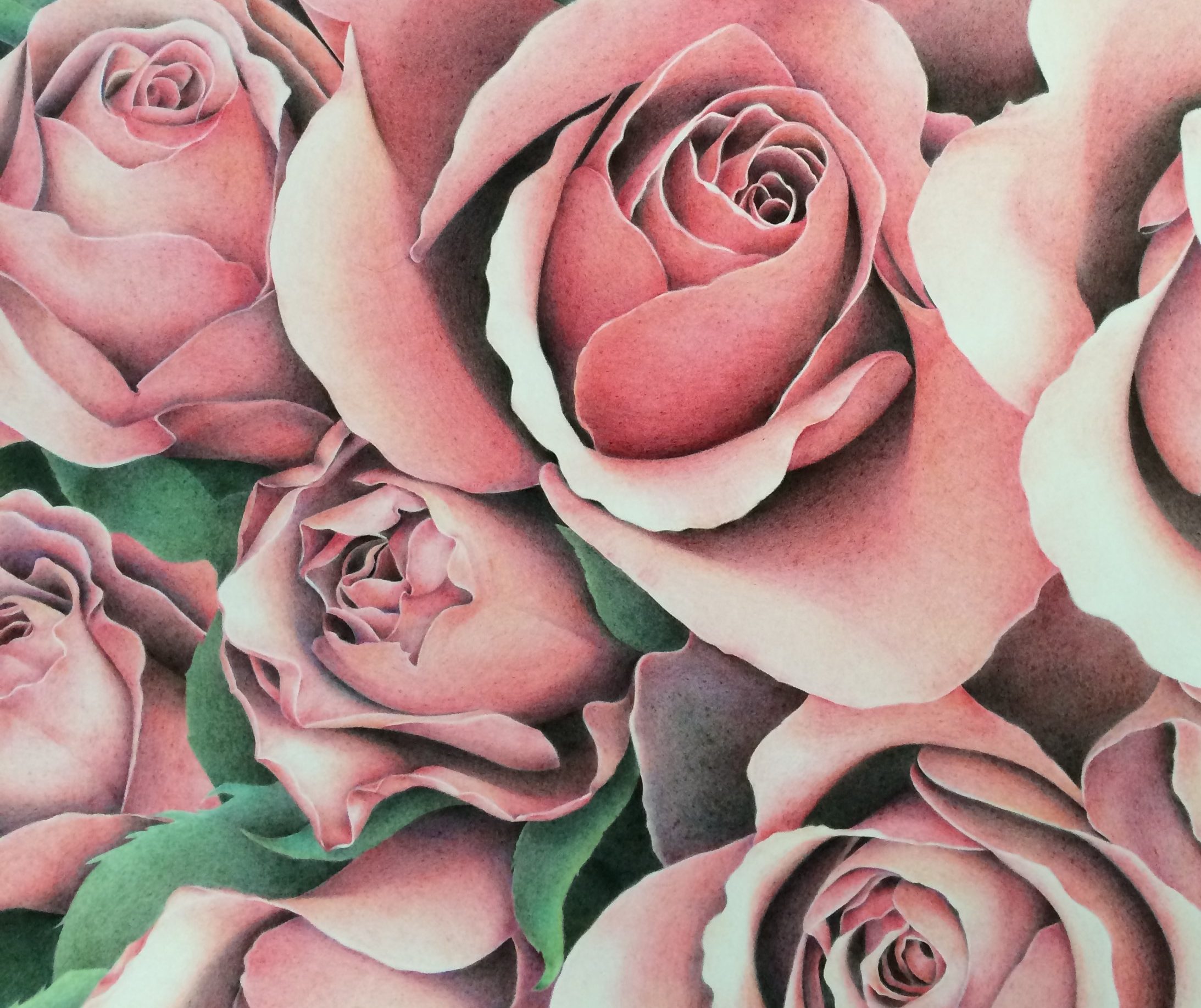 色鉛筆アート 薔薇 バラ の花を隙間時間に描く ポイント解説 ここち工房