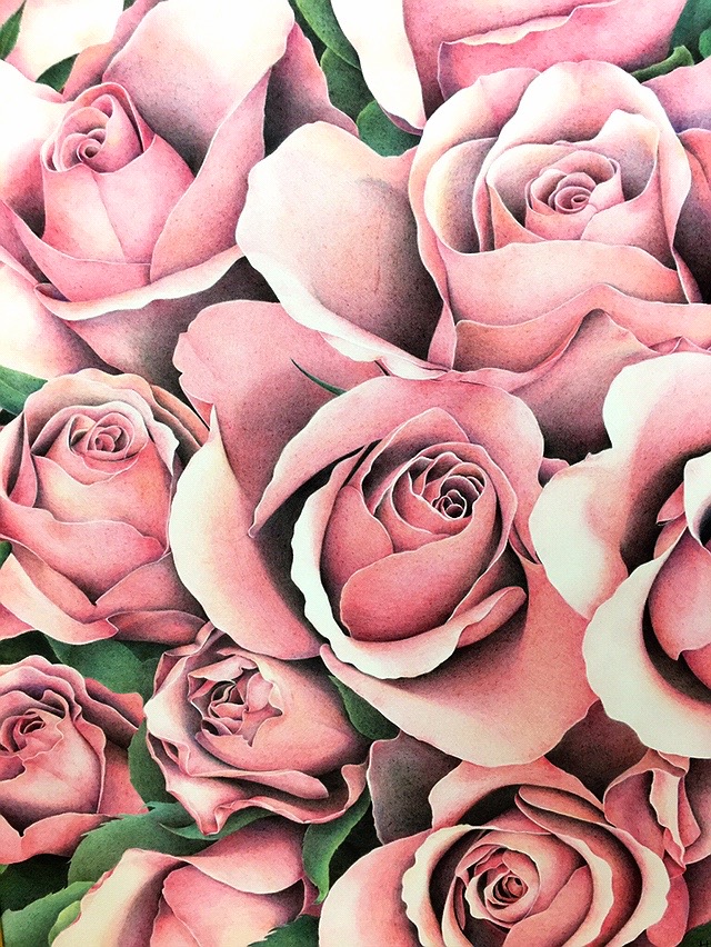 色鉛筆アート 薔薇 バラ の花を隙間時間に描く ポイント解説 ここち工房