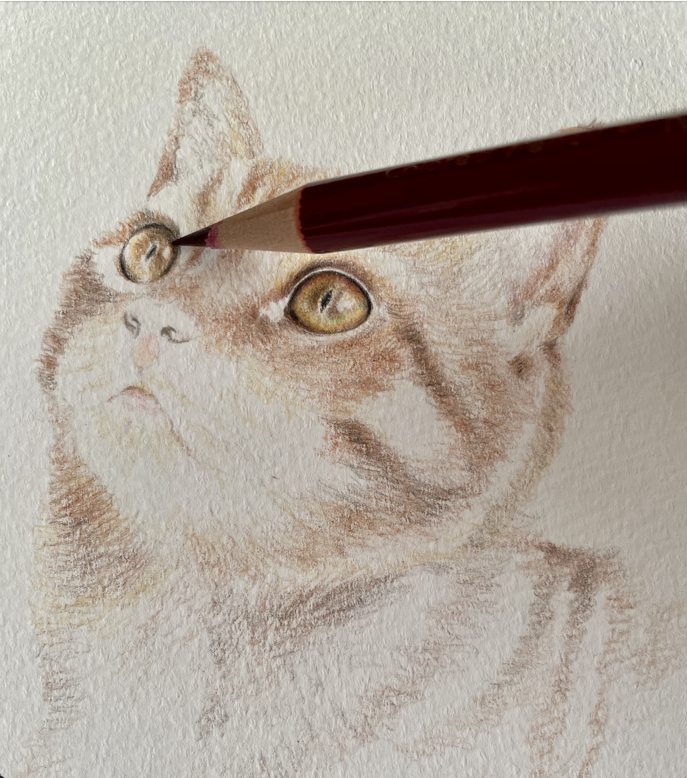簡単ポストカード 猫の目の描き方をマスターしよう 下絵 動画あり ここち工房