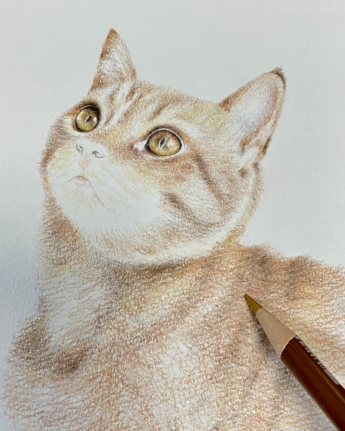 簡単ポストカード 猫の目の描き方をマスターしよう 下絵 動画あり ここち工房