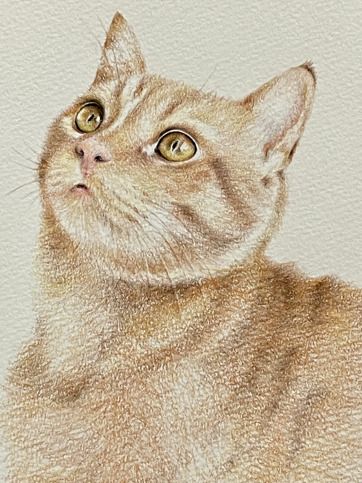 簡単ポストカード 猫の目の描き方をマスターしよう 下絵 動画あり ここち工房