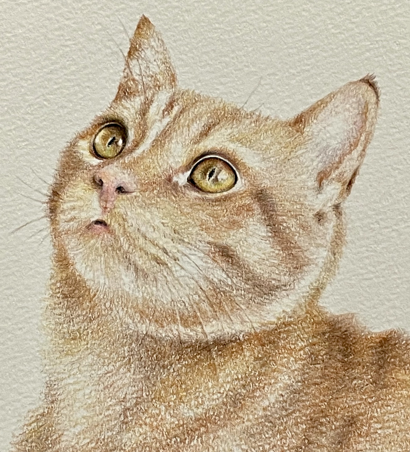 簡単ポストカード 猫の目の描き方をマスターしよう 下絵 動画あり ここち工房