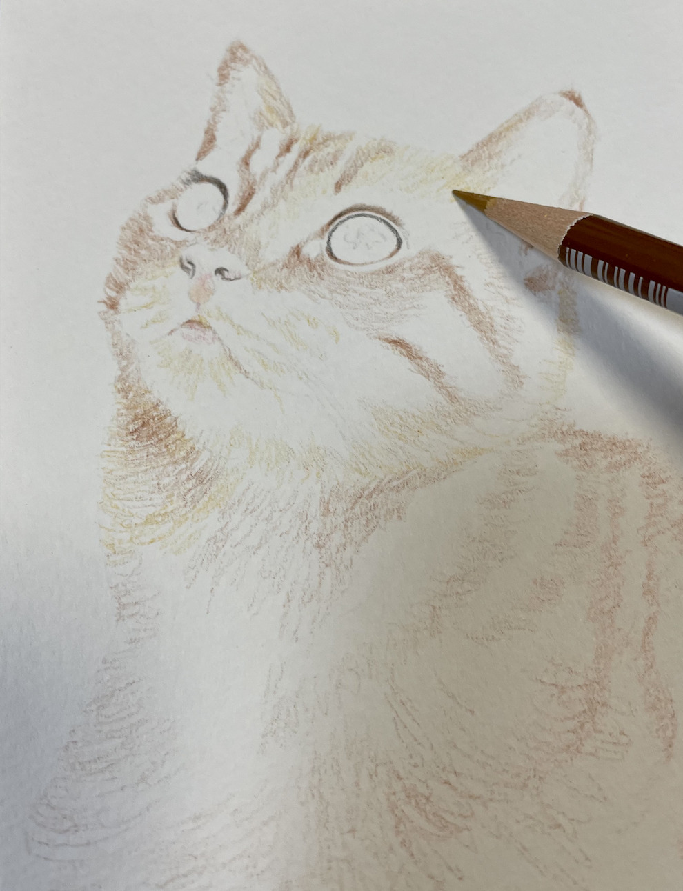 猫ちゃん　色鉛筆画　サンプル　手書き　ハンドメイド　一点物　オリジナル作品　愛猫