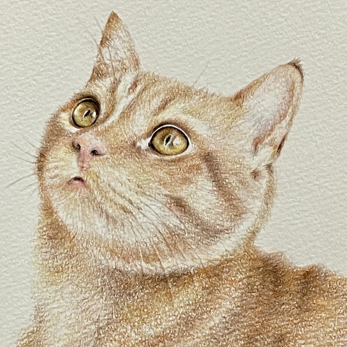 鉛筆画】見上げる猫 - 絵画/タペストリ