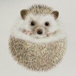 簡単ポストカード 猫の目の描き方をマスターしよう 下絵 動画あり ここち工房